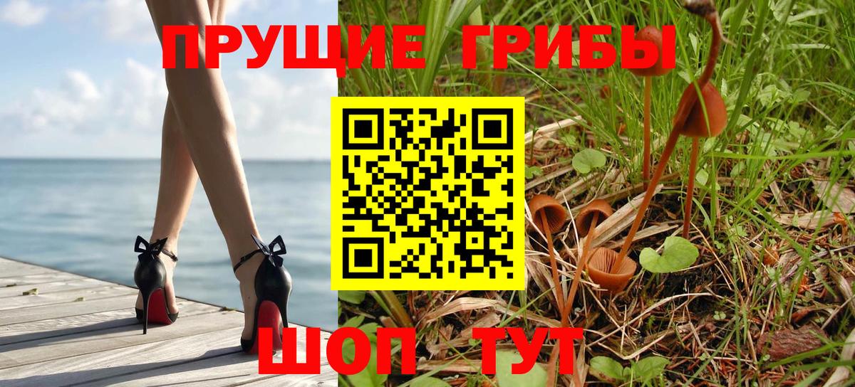 Галлюциногенные грибы Psilocybe  Вход с VPN  Кизляр 